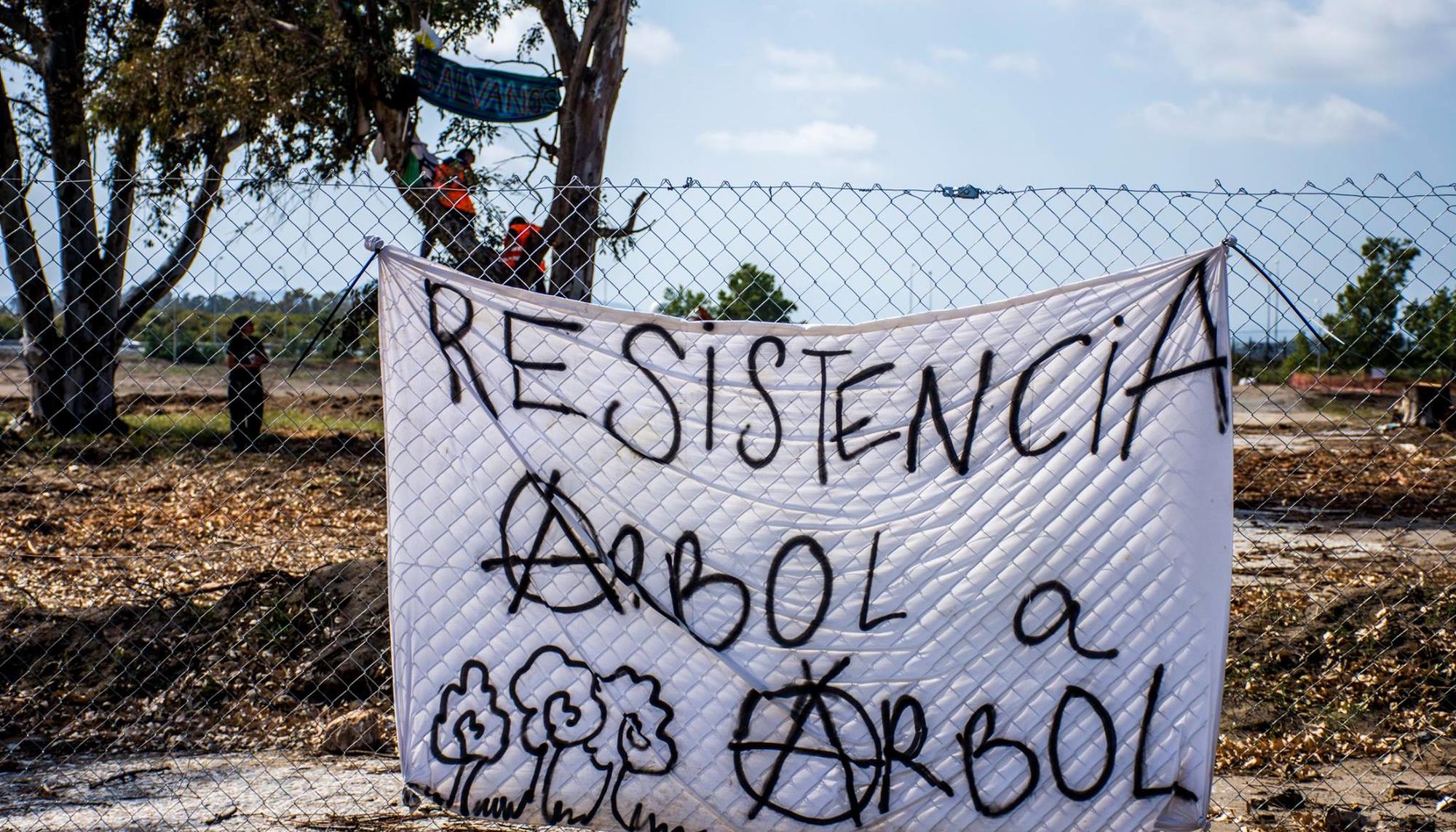 Arraijanal Campamento Arbol a Arbol